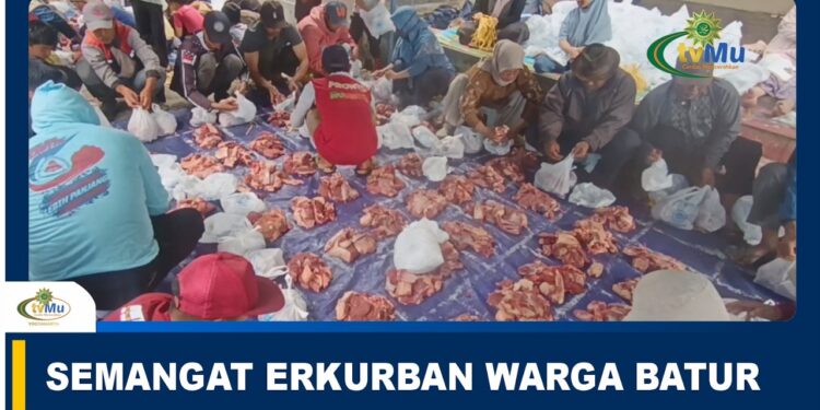 BERITA TVMU | SEMANGAT BERKURBAN WARGA BATUR
