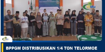 BERITA TVMU YOGYAKARTA | BPPGM DISTRIBUSIKAN 1/4 TON TELORMOE